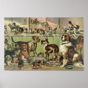Vintage Kennel Club Illustration ポスター