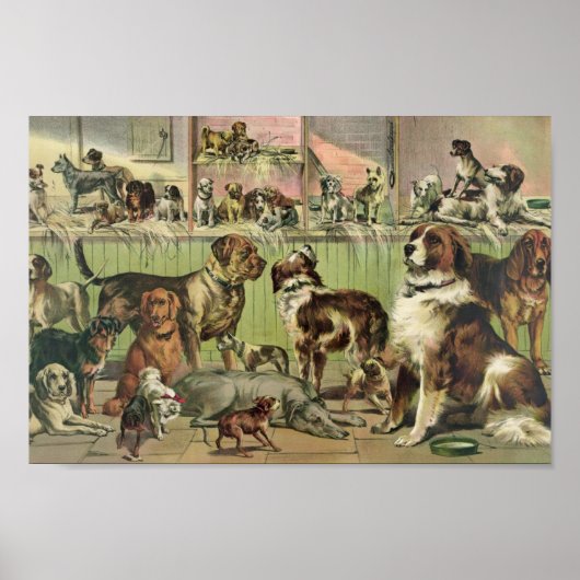 Vintage Kennel Club Illustration ポスター (正面)