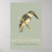 Vintage Kingfisher Watercolour Poster ポスター (正面)