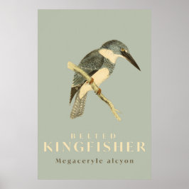 Vintage Kingfisher Watercolour Poster ポスター