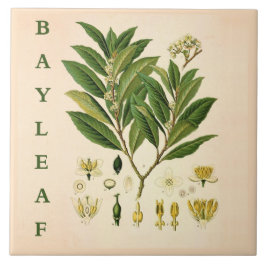 Vintage Kitchen Art: Bay Leaf Herb plant flowers タイル