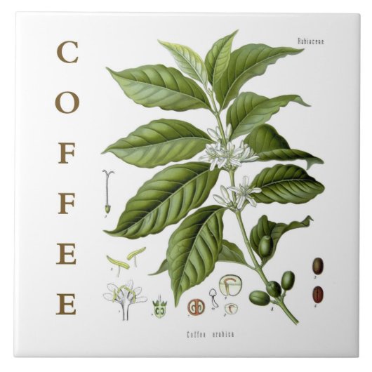 Vintage Kitchen Art: Coffee Plant & Flowers タイル (正面)