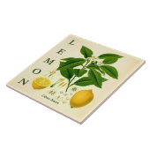 Vintage Kitchen Art: Lemon Citrus Tree flowers タイル (側面)