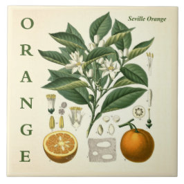Vintage Kitchen Art: Orange Citrus Tree flowers タイル
