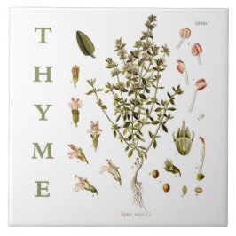 Vintage Kitchen Garden Thyme Herb plant flowers タイル