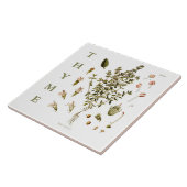Vintage Kitchen Garden Thyme Herb plant flowers タイル (側面)