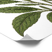 Vintage Lavender ポスター (角)