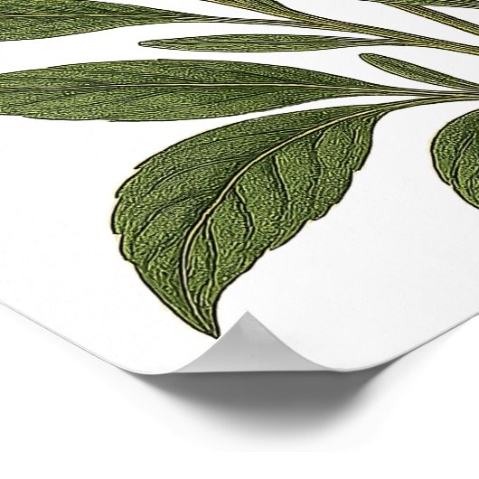 Vintage Lavender ポスター (角)