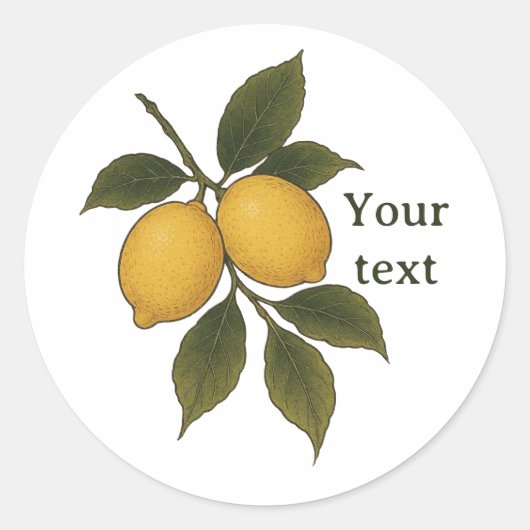 Vintage Lemon Sticker, Mediterranean Citrus Sticke ラウンドシール (正面)