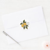 Vintage Lemon Sticker, Mediterranean Citrus Sticke ラウンドシール (封筒)