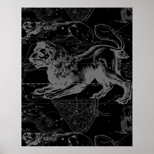 Vintage Leo Constellation MapHevelius 1690 ポスター (正面)