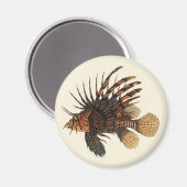 Vintage Lionfish Fish, Marine Ocean Life Animal マグネット (正面/裏面)