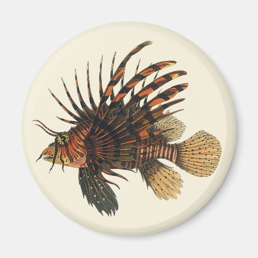Vintage Lionfish Fish, Marine Ocean Life Animal マグネット (正面)