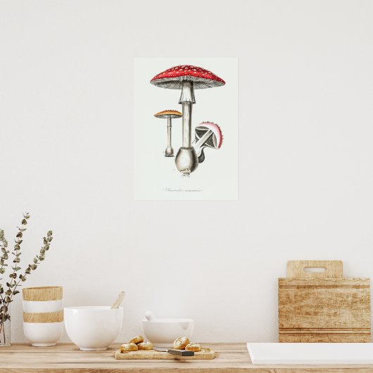 Vintage Magic Mushrooms Illustration ポスター (キッチン)