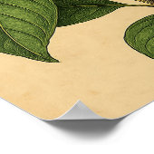 Vintage Magnolia on Weathered Paper Poster ポスター (角)