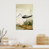 Vintage Marine Life Shorebirds, Avocet Birds ポスター (キッチン)