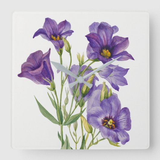 Vintage Mary Vaux Walcott Flowers Botanicals スクエア壁時計 (正面)