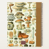 Vintage Millot Mushrooms & Fungi 2022 Dated Diary プランナー手帳 (裏面)