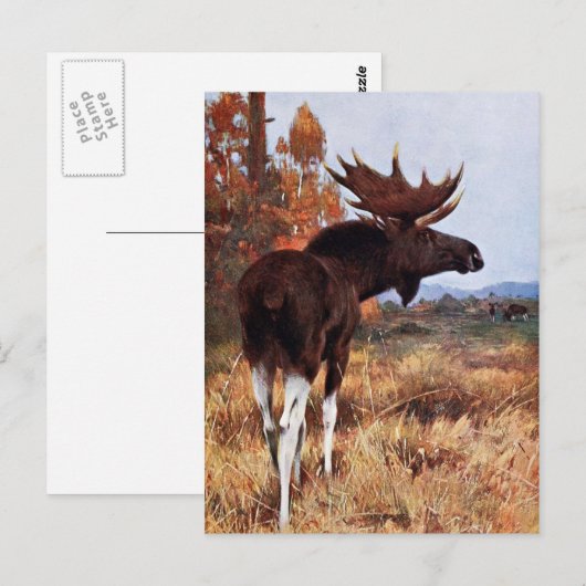 Vintage Moose Painting ポストカード (正面/裏面)