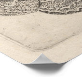 Vintage Moths Butterflies Lepidoptera Print (63) ポスター (角)