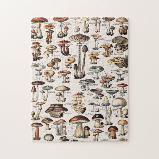 Vintage Mushrooms By Adolphe Millot ジグソーパズル (縦)