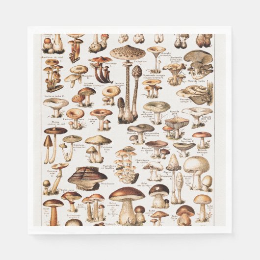 Vintage Mushrooms By Adolphe Millot スタンダードランチョンナプキン (正面)
