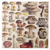 Vintage Mushrooms By Adolphe Millot タイル (正面)