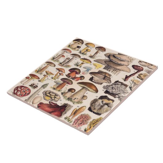 Vintage Mushrooms By Adolphe Millot タイル (側面)
