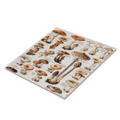 Vintage Mushrooms By Adolphe Millot  タイル (側面)