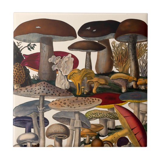 Vintage mushrooms illustration タイル (正面)