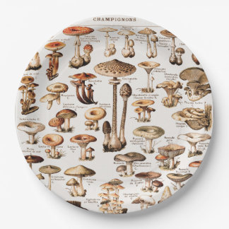 Vintage Mushrooms Illustration By Adolphe Millot ペーパープレート