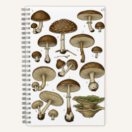 Vintage Mushrooms Notebook ノートブック