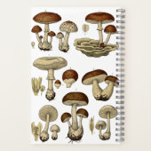 Vintage Mushrooms Notebook ノートブック (裏面)