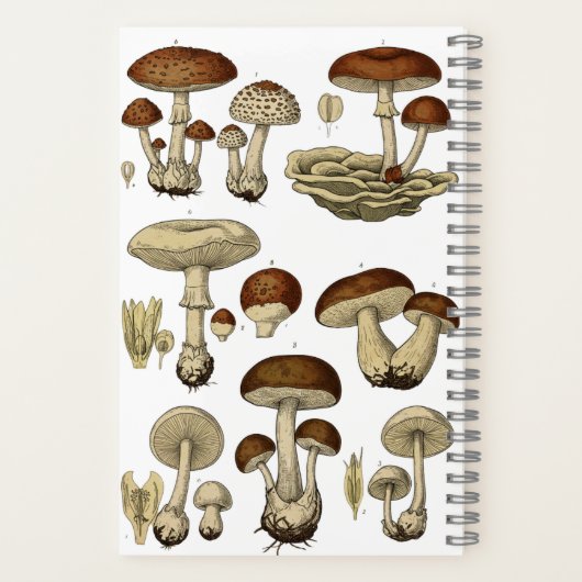 Vintage Mushrooms Notebook ノートブック (裏面)