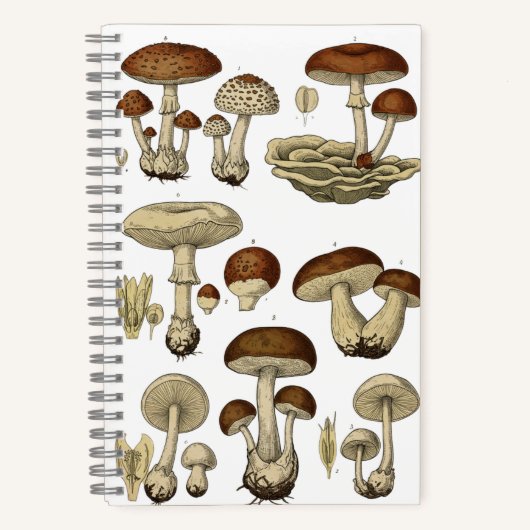 Vintage Mushrooms Notebook ノートブック (正面)