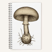 Vintage Mushrooms Notebook ノートブック (正面)