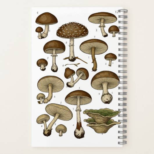 Vintage Mushrooms Notebook ノートブック (裏面)