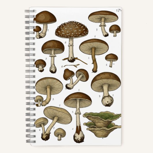 Vintage Mushrooms Notebook ノートブック (正面)
