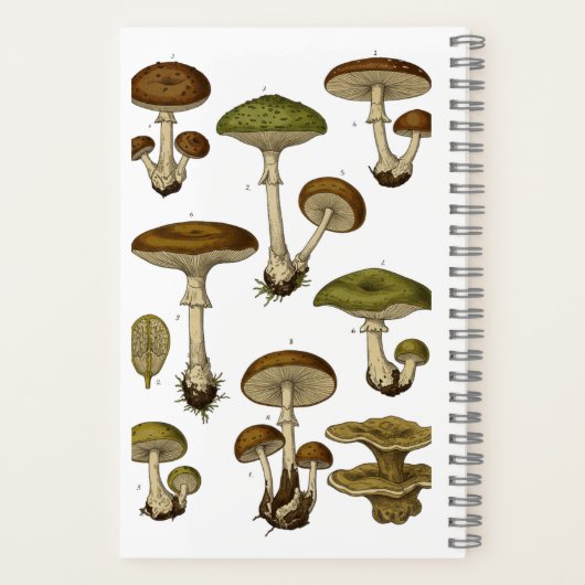 Vintage Mushrooms Notebook  ノートブック (裏面)
