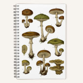Vintage Mushrooms Notebook  ノートブック (正面)