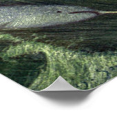 Vintage Narwhals Whales, Marine Life Ocean Animals ポスター (角)