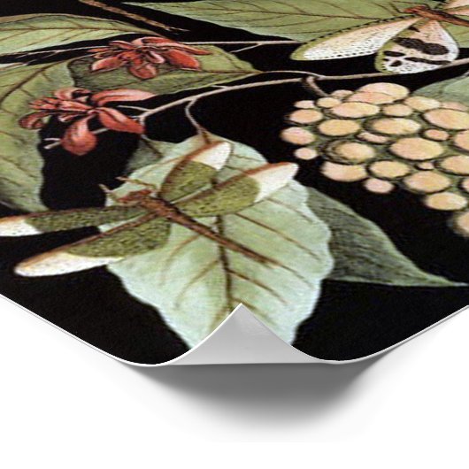 Vintage Nature Poster ポスター (角)