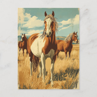 Vintage North America Wildhorses  ポストカード