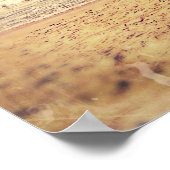 Vintage Ocean Pier ポスター (角)