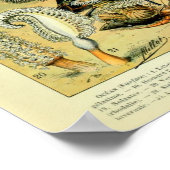 Vintage Ocean Sea Life by Adolphe Millot ポスター (角)