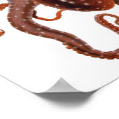 Vintage Octopus Macropus, Marine Aquatic Animals ポスター (角)