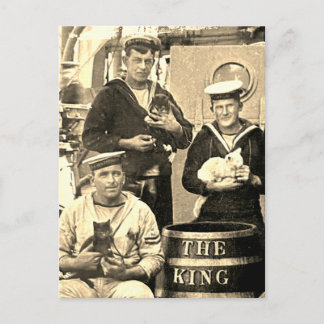 Vintage Old Photo 3 Sailors Holding Cats ポストカード