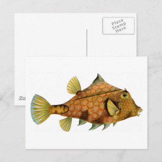 Vintage Orange Fish ポストカード (正面/裏面)