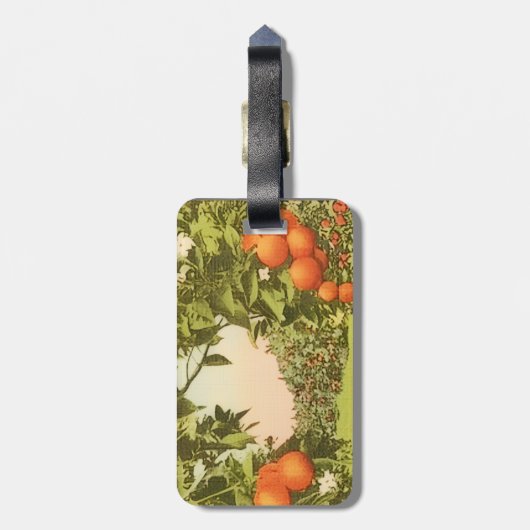 Vintage Orange Grove ラゲッジタグ (裏面縦)