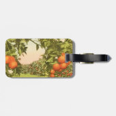Vintage Orange Grove ラゲッジタグ (裏面横)